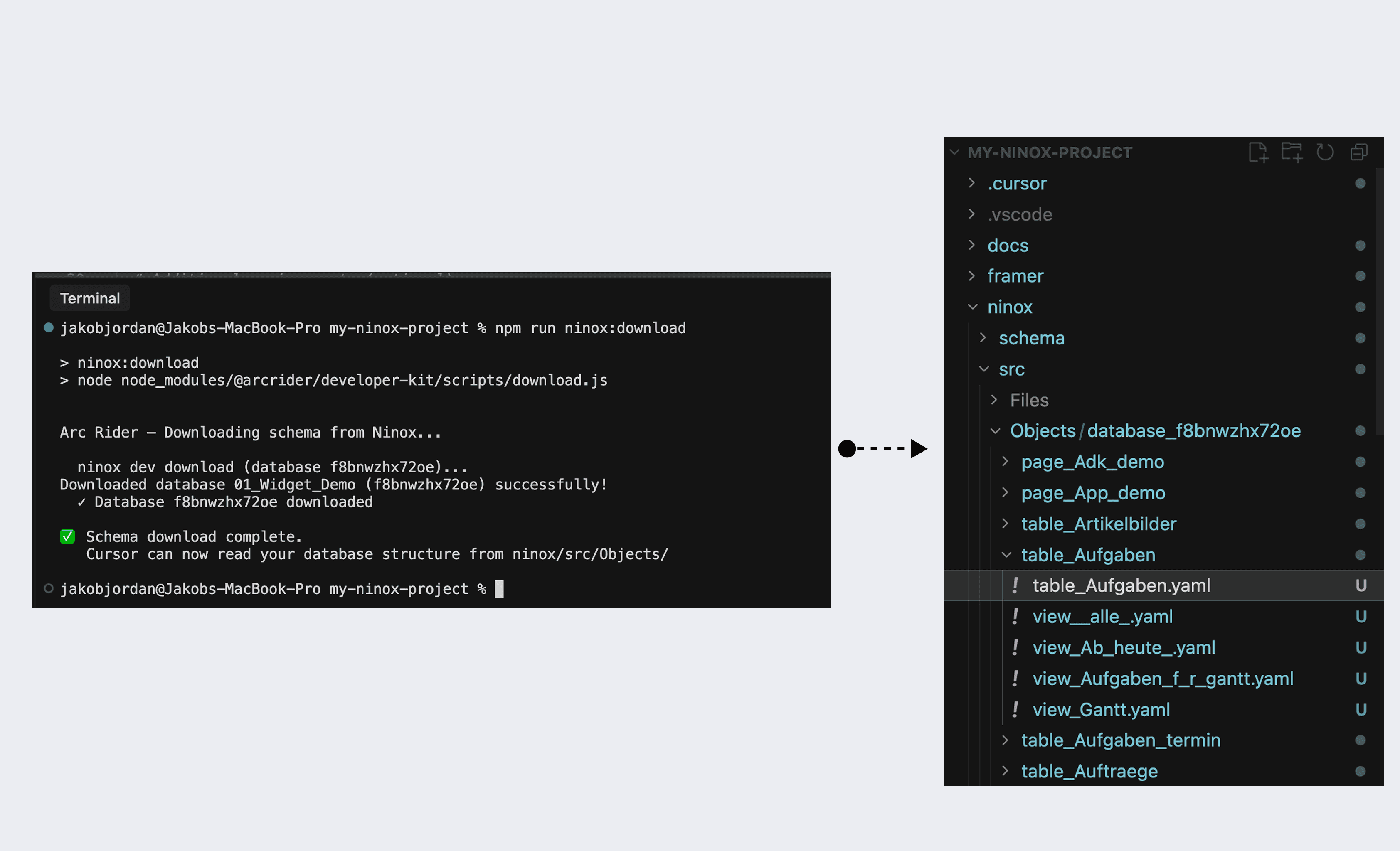 Esquema de Ninox descargado en Cursor